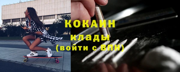 винт Алексин