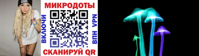 закладки  Морозовск  Псилоцибиновые грибы Psilocybe 