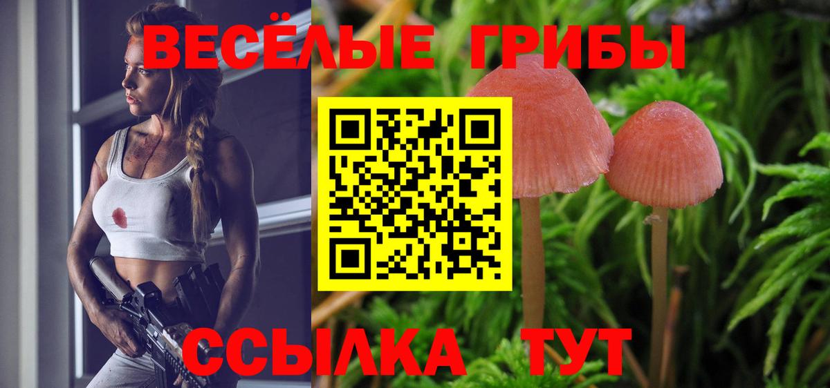 Галлюциногенные грибы ЛСД Морозовск