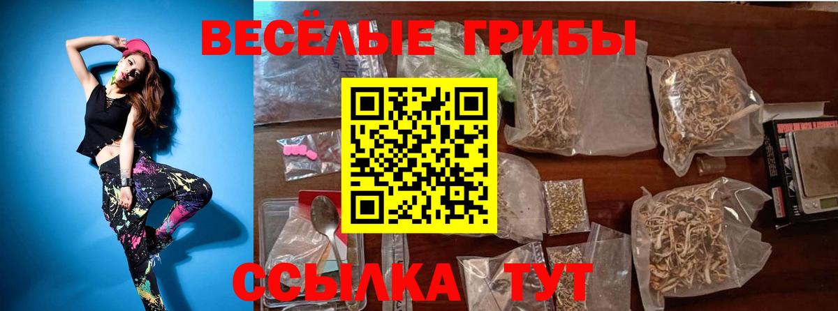 Галлюциногенные грибы MAGIC MUSHROOMS  Вход с VPN  Галлюциногенные грибы MAGIC MUSHROOMS  как найти закладки  Морозовск 