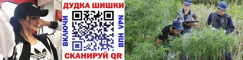 Бошки Шишки VHQ  Морозовск 